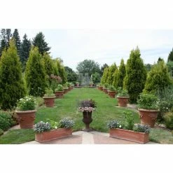 Online Orchards 1 Gal. Emerald Green Arborvitae Shrub -Online Orchards store online orchards bushes cfar001 1f 1000