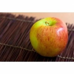 Online Orchards Dwarf Braeburn Apple Tree Bare Root 6 Online Orchards Dwarf Braeburn Apple Tree Bare Root -Online Orchards store online orchards fruit plants ftap006 1f 1000