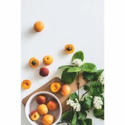 Online Orchards Dwarf Goldcot Apricot Tree Bare Root 10 Online Orchards Dwarf Goldcot Apricot Tree Bare Root -Online Orchards store online orchards fruit trees ftac001 1f 1000