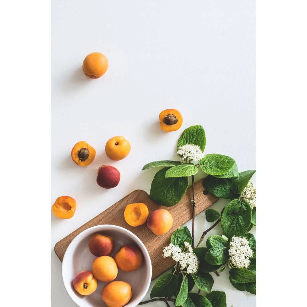 Online Orchards Dwarf Goldcot Apricot Tree Bare Root 4 Online Orchards Dwarf Goldcot Apricot Tree Bare Root - Image 4