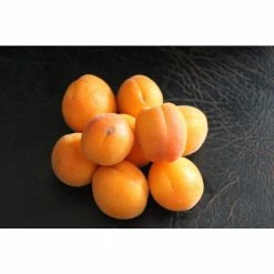 Online Orchards Dwarf Puget Gold Apricot Tree - Easiest Growing Apricot Tree (Bare-Root, 3 ft. to 4 ft. Tall, 2-Years Old) -Online Orchards store online orchards fruit trees ftac004 1f 1000