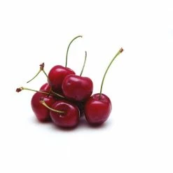 Online Orchards 3 ft. Lapins Cherry Semi Dwarf Tree with Abundant Self Pollinating Fruit 12 Online Orchards 3 ft. Lapins Cherry Semi Dwarf Tree with Abundant Self Pollinating Fruit -Online Orchards store online orchards fruit trees ftch008 fa 1000