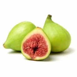 Online Orchards 1 Gal Desert King Fig Tree