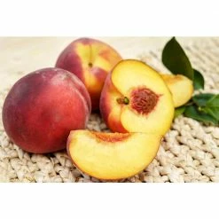 Online Orchards Red Gold Nectarine Tree Bare Root 7 Online Orchards Red Gold Nectarine Tree Bare Root -Online Orchards store online orchards fruit trees ftnc001 4f 1000