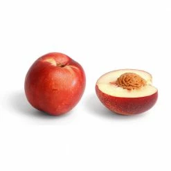 Online Orchards Snow Queen White Nectarine Tree (Bare-Root, 3 ft. to 4 ft. Tall, 2-Years Old) -Online Orchards store online orchards fruit trees ftnc004 44 1000