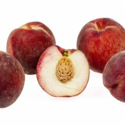 Online Orchards Snow Queen White Nectarine Tree (Bare-Root, 3 ft. to 4 ft. Tall, 2-Years Old)