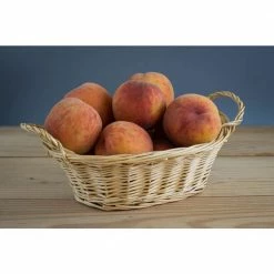 Online Orchards Curlfree Peach Tree Bare Root -Online Orchards store online orchards fruit trees ftpe005 1f 1000