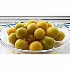 Online Orchards Dwarf Shiro Plum Tree Bare Root -Online Orchards store online orchards fruit trees ftpl004 1f 1000