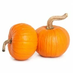 Online Orchards 2 Live Pie Pumpkin Freshly Harvested (Small 5 lbs. Size Each) -Online Orchards store online orchards pumpkins gourds aupk002 4f 1000